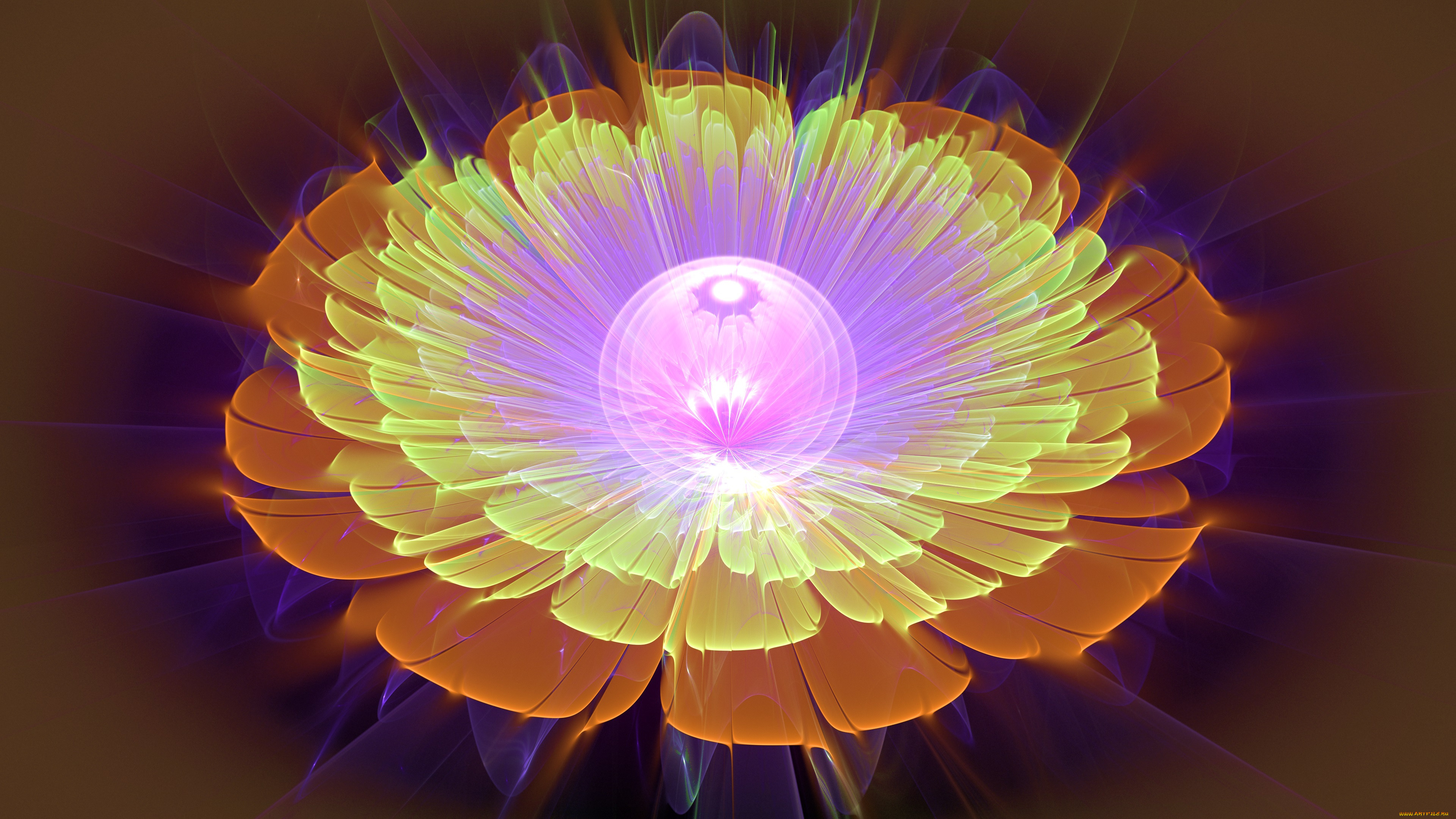 3 ,  , flowers, , , 